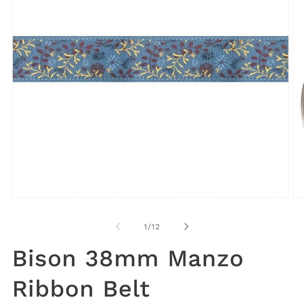 Floral Embroidered Blue Belt